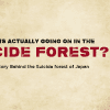 The true story of the suicide forest would shock you