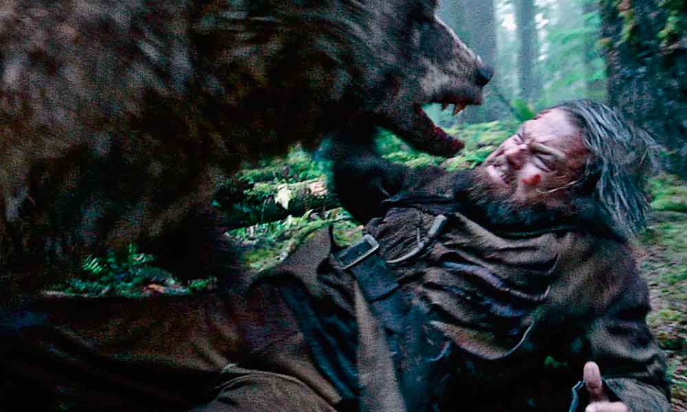 A scene from Revenant that shows Leonardo DiCaprio as Hugh Glass being attacked