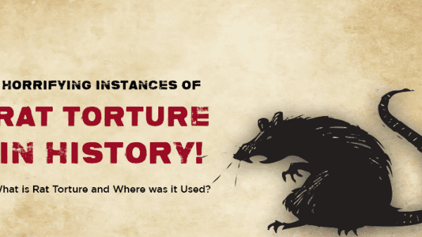 Rat torture has been used for more than a thousand years to torture prisoners