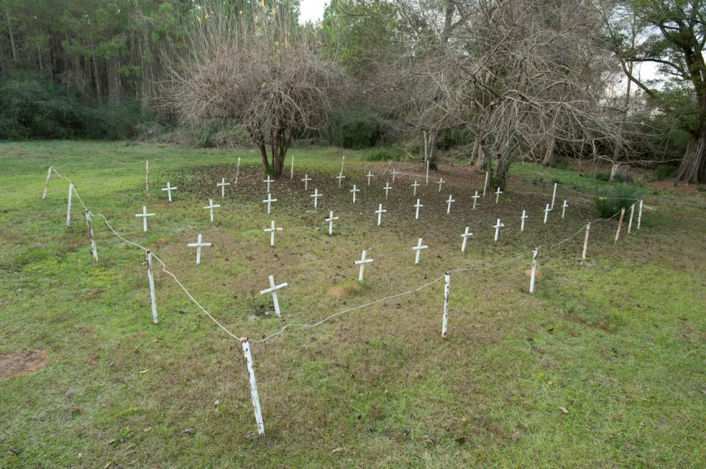 White metal crosses mark graves at the cemetery of the former Arthur G Dozier School for Boys in Marianna, Florida, in 2012.
