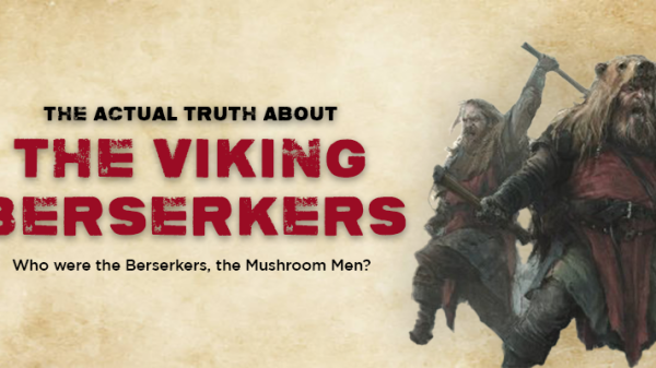 Vikings Berserker Intro