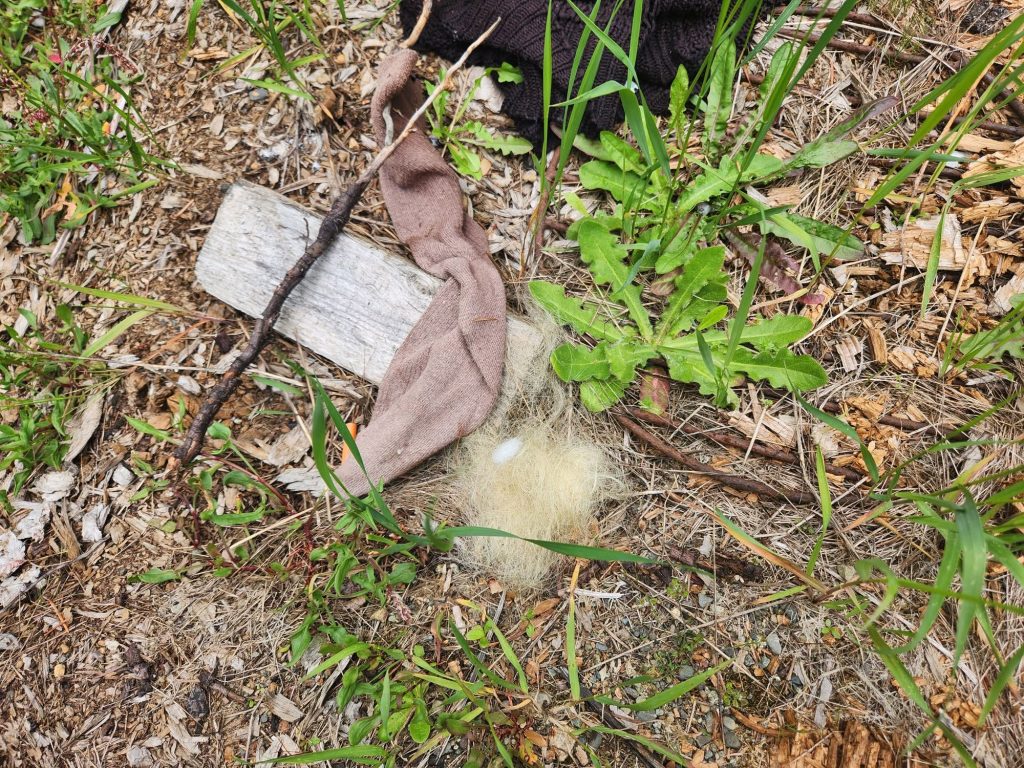 Clothing next to the remains that were found near Fish Hatchery, Qualicum River. Photo Credits: Sarah Brown